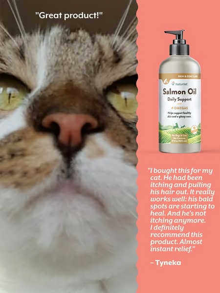 A split-screen ad creative featuring a close-up of a cat and a product testimonial for Salmon Oil, highlighting relief from itching.